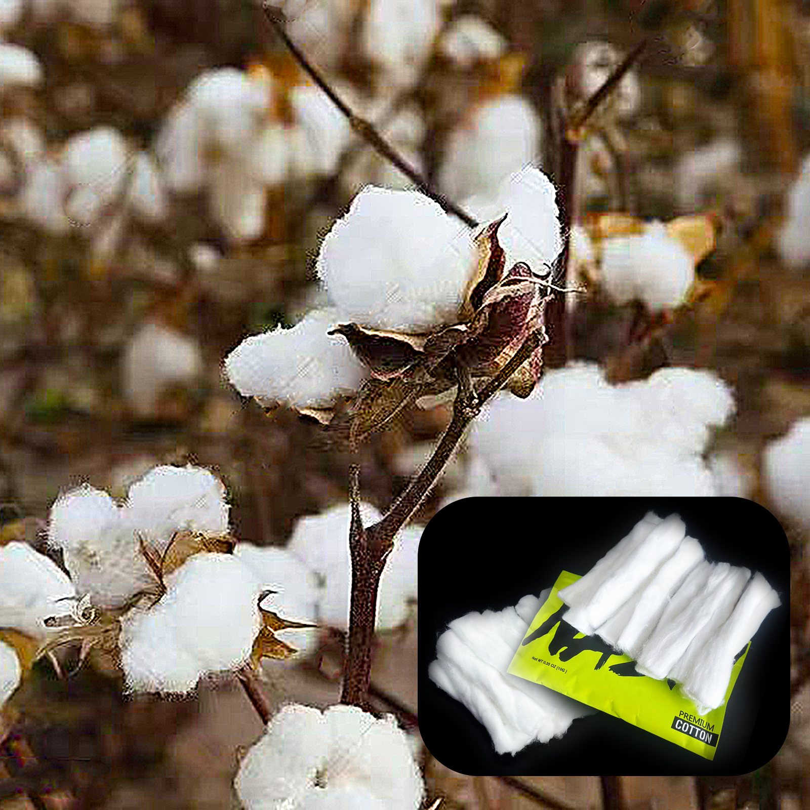 10/5/3Packs Home DIY Natural C - Cotton Wick Organic reseña y precio