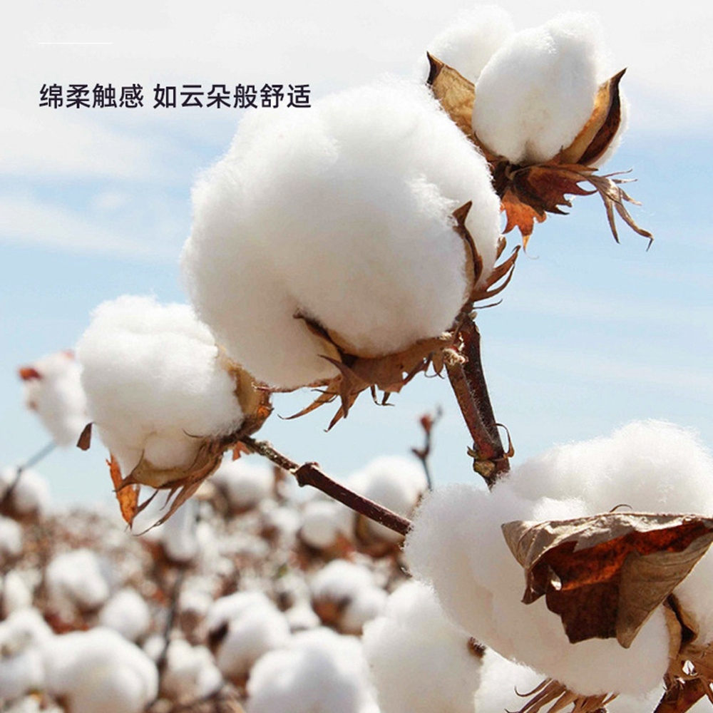5.0/3.0/2.5mm Rubber Head Orga - Cotton Wick Organic reseña y precio